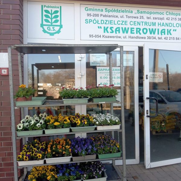 GS Pabianice oddzial Ksawerow centrum ogrodnicze nasiona cebulki kwiatów doniczki nasiona trawy sadzonki kwiatow bratki stokrotki